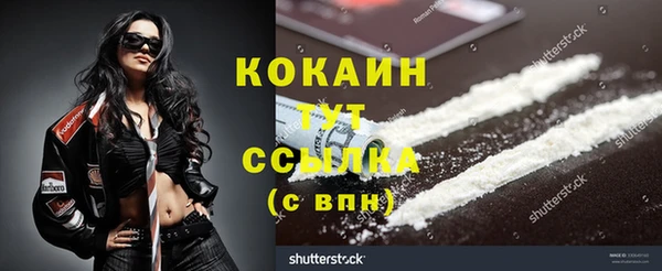 индика Магас