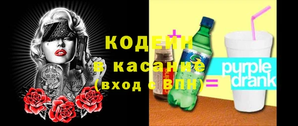 индика Магас