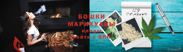 индика Магас