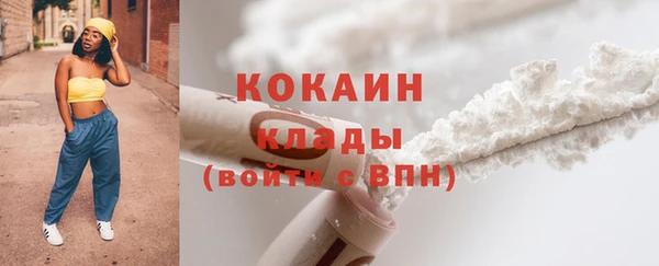 индика Магас