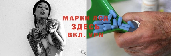 индика Магас
