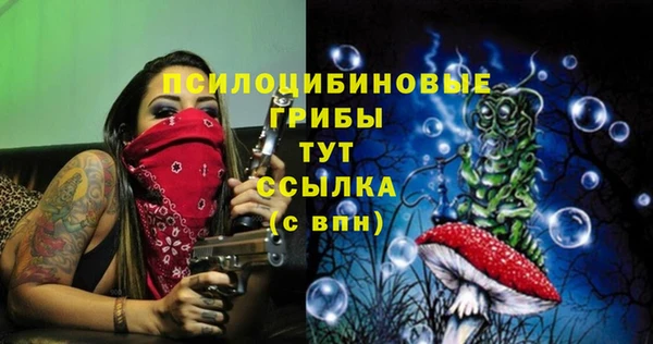 индика Магас
