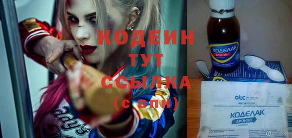 индика Магас