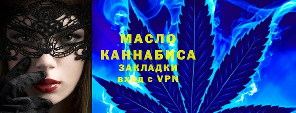 индика Магас