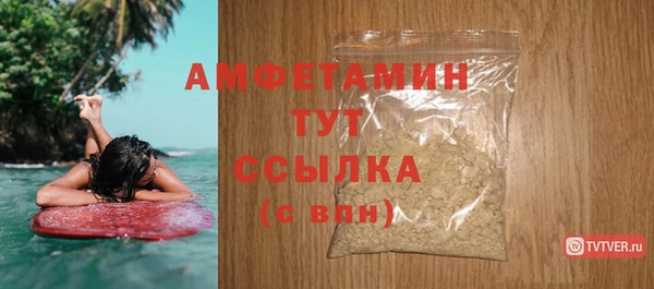 индика Магас