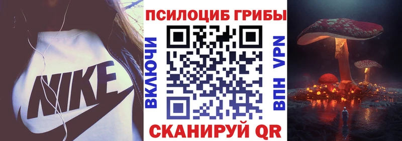 Псилоцибиновые грибы Cubensis  Зверево 