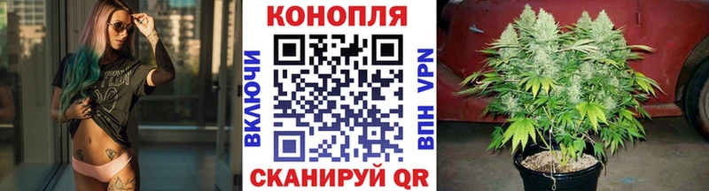 Бошки марихуана план  Зверево 